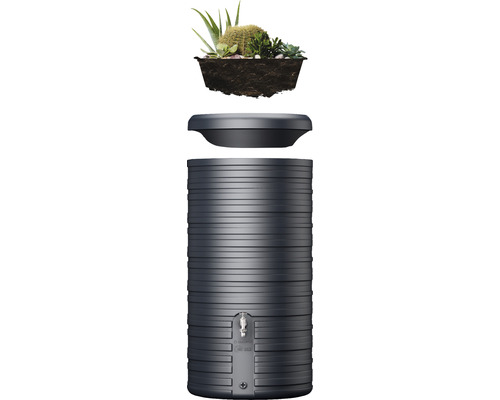 Regentonne mit Pflanzen für den Garten
