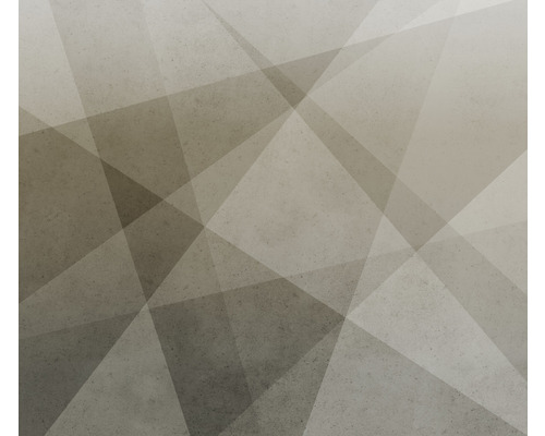 Fototapete Vlies 521948 geometrisch abstrakt effekt-optik grau 7-tlg. 350 x 300 cm Fototapete Vlies 521948 geometrisch abstrakt effekt-optik grau 7-tlg. 350 x 300 cm