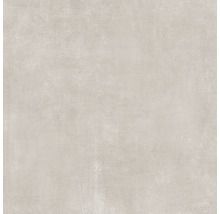 Wand- und Bodenfliese Terra cemento 59,7x59,7cm matt rektifiziert
