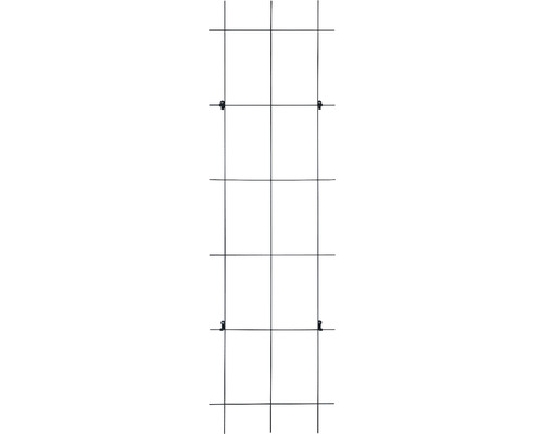 Metallgitter zur Pflanzenunterstützung