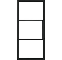 Glastür mit schwarzem Rahmen und drei rechteckigen Glasfeldern