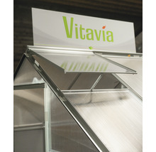 Detailansicht eines Gewächshauses mit geöffnetem Fenster und Vitavia Logo.