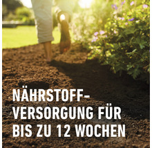 Nährstoffversorgung für bis zu 12 Wochen