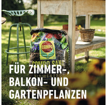 COMPO SANA Blumenerde für Zimmer-, Balkon- und Gartenpflanzen im Sack