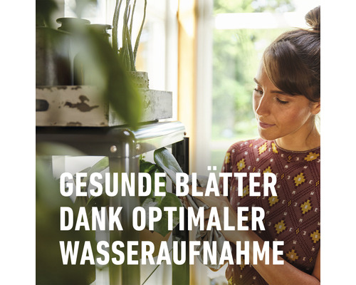 Frau pflegt Pflanzen für gesunde Blätter und optimale Wasseraufnahme