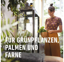 Zimmerpflanzenerde COMPO SANA® Grünpflanzen- und Palmenerde 10 L für alle Zimmerpflanzen, Balkonpflanzen, Palmen und Farne-thumb-2