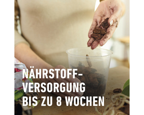 Orchideenerde wird in einen transparenten Topf gefüllt