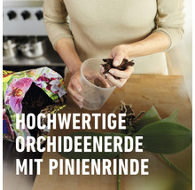 Orchideenerde COMPO SANA® 5 L