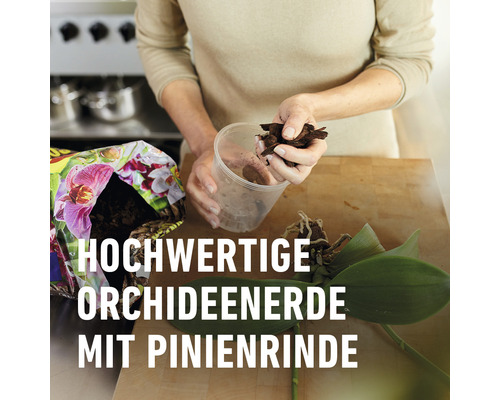Orchideenerde mit Pinienrinde wird in einen durchsichtigen Topf gefüllt.