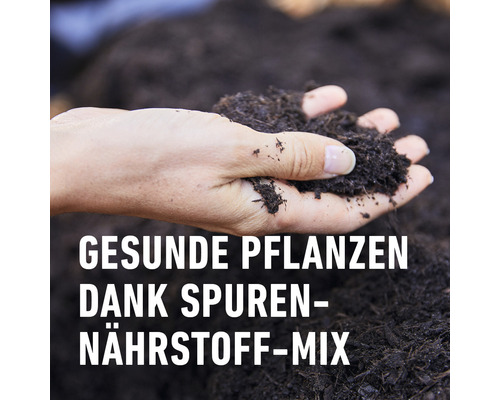 Eine Hand hält eine Portion Pflanzenerde.