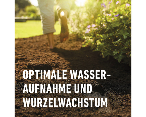 Garten mit optimaler Wasseraufnahme und Wurzelwachstum