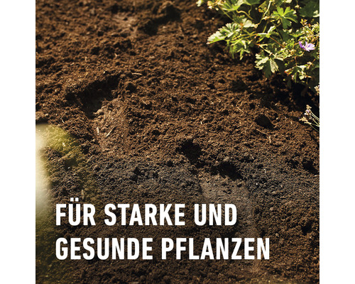 Erde mit Pflanzen für starkes und gesundes Pflanzenwachstum