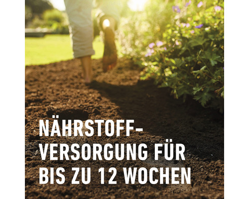 Nährstoffversorgung für bis zu 12 Wochen im Gartenboden.