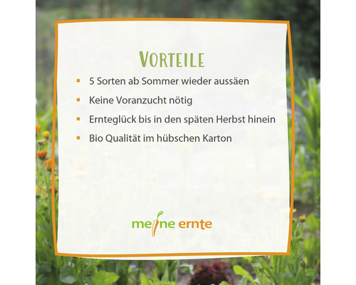 Vorteile: Fünf Sorten ab Sommer wieder aussäen, keine Voranzucht nötig, Ernteglück bis in den späten Herbst hinein, Bio Qualität im hübschen Karton, Meine Ernte Logo.