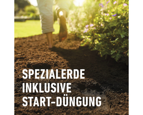 Spezialerde inklusive Startduengung im Gartenbeet