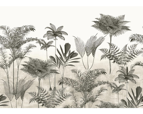 Fototapete Vlies 556223 Lirico Gräser grau 7-tlg. 371 x 265 cm Illustration von Palmen und Farnen als Wanddekoration