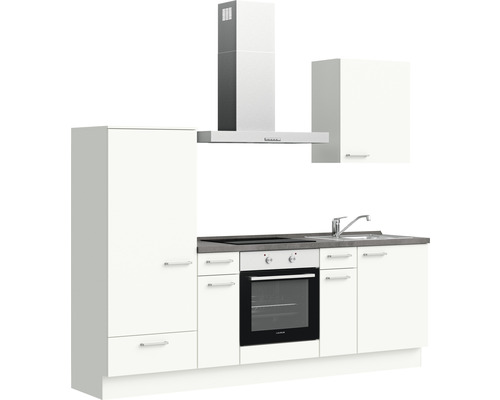 Komplette Küchenzeile mit Spüle, Kochfeld, Backofen, Dunstabzugshaube und Schränken