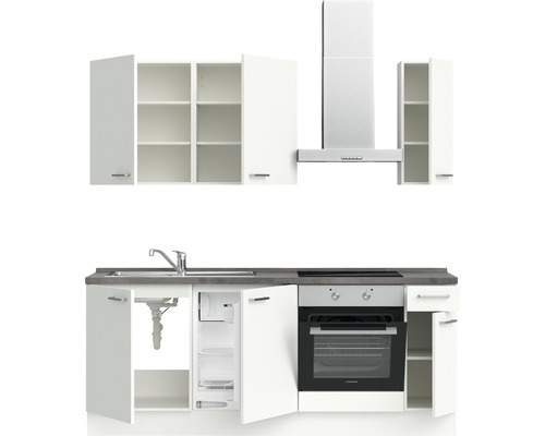 Komplette Küchenzeile mit Spüle, Kühlschrank, Herd, Backofen, Dunstabzugshaube und Schränken