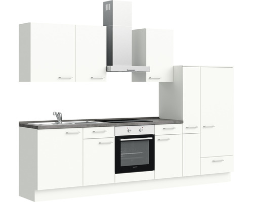 Komplette Einbauküche mit Spüle, Herd, Backofen, Dunstabzugshaube und Schränken