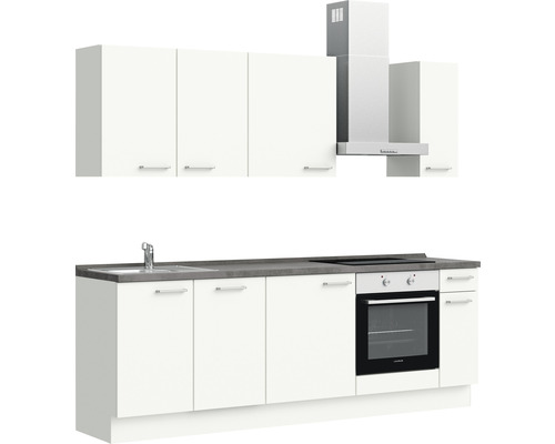 Küchenzeile mit Spüle, Kochfeld, Backofen, Dunstabzugshaube und Hängeschränken.