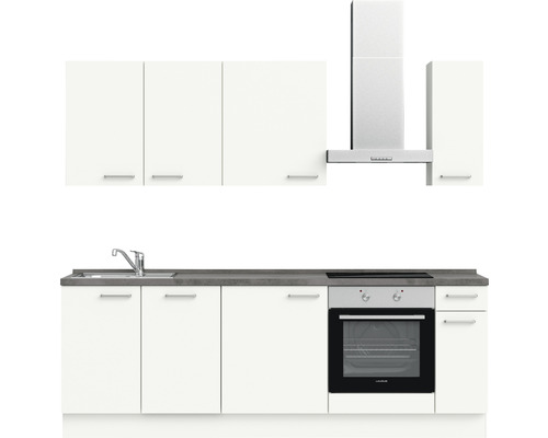 Küchenzeile mit Spüle, Kochfeld, Backofen, Dunstabzugshaube und Hängeschränken