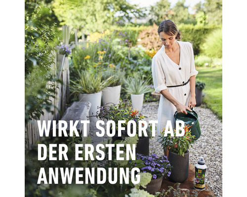 Frau gießt Pflanzen im Garten mit einer Gießkanne. Pflanzenschutzmittel steht daneben.