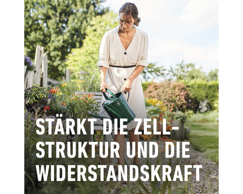 Frau gießt Gartenpflanzen mit einer Gießkanne