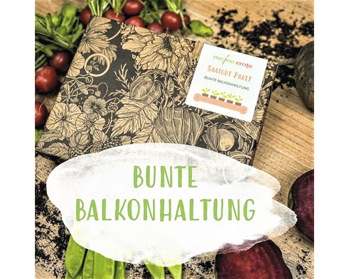 Bio Gemüse Saatgutpaket meine ernte Bunte Balkonhaltung 5 Sorten, Radieschen, Mangold, Zuckererbse, Rote Bete und Blattsalat-Mischung, samenfestes Saatgut