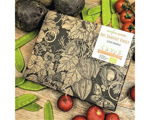 Bio Saatgut Paket auf einem Holztisch mit Gemüse