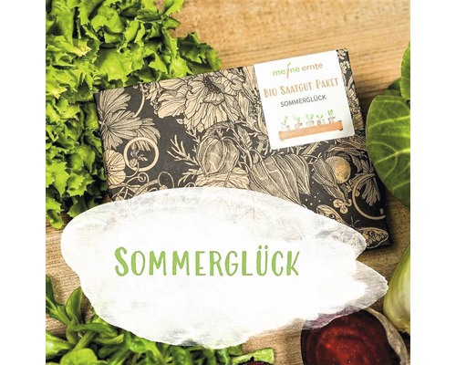 Bio Gemüse Saatgutpaket meine ernte Sommerglück mit 5 Sorten, samenfestes Saatgut Bio-Saatgut-Paket Sommerglück von Meine Ernte mit Gemüsesorten