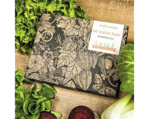 Bio Saatgut Paket Sommerglück von meine ernte