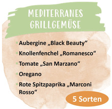 Mediterranes Grillgemüse mit Aubergine, Knollenfenchel, Tomate, Oregano und roter Spitzpaprika