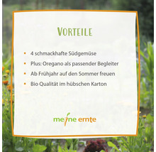 Vorteile: Vier schmackhafte Südgemüse, Oregano als Begleiter, Vorfreude auf den Sommer, Bio Qualität im Karton
