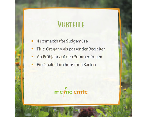 Vorteile: Vier schmackhafte Südgemüse, Oregano als Begleiter, Vorfreude auf den Sommer, Bio Qualität im Karton