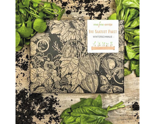Bio Saatgut Paket Winterschmaus von meine ernte