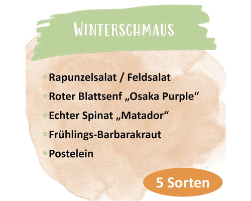 Winterschmaus mit Feldsalat, rotem Blattsenf Osaka Purple, echtem Spinat Matador, Frühlings-Barbarakraut und Postelein, 5 Sorten