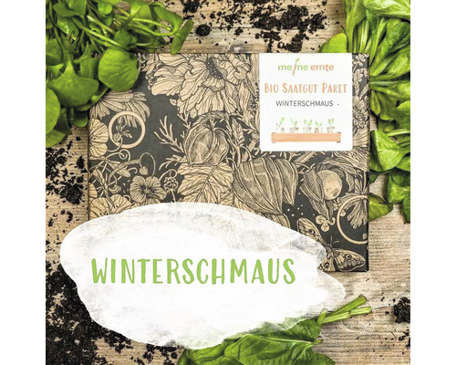 Bio Gemüse Saatgutpaket meine ernte Winterschmaus mit 5 Sorten Winterblattgemüse samenfestes Saatgut