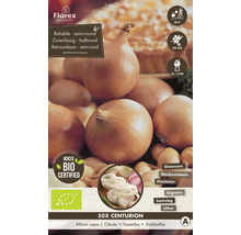 Packung Zwiebelsets, 50 Stück