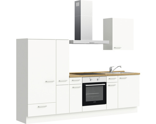 Küchenzeile mit Spüle, Kochfeld, Backofen, Dunstabzugshaube und Hängeschrank