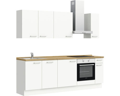 Küchenzeile mit Spüle, Kochfeld, Backofen, Dunstabzugshaube und Hängeschränken