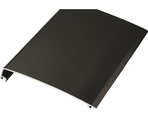Abdeckprofil für Pertura Pontos Glasgeländer schwarz 1.5x104.3x2000 mm