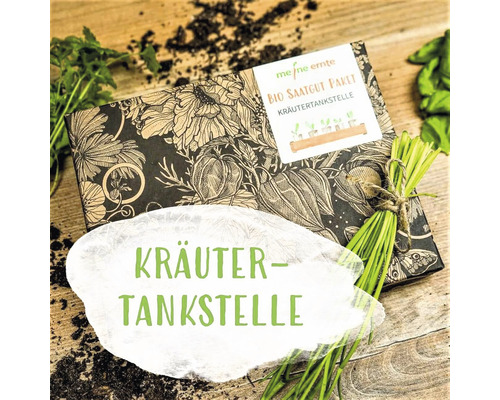 Bio Kräuter Saatgutpaket meine ernte Drei Kräuterbasics, Schnittlauch, Basilikum und Glatte Petersilie, samenfestes Saatgut