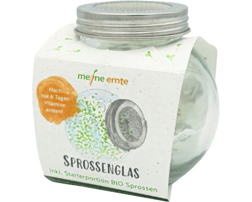 Sprossenglas inklusive Starterportion Bio Sprossen