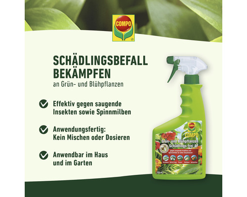 Compo Schädlingsfrei Spray für Grün- und Blühpflanzen