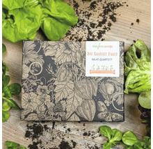 Bio-Saatgut-Paket Salat-Quartett auf einem Tisch mit Salatblättern