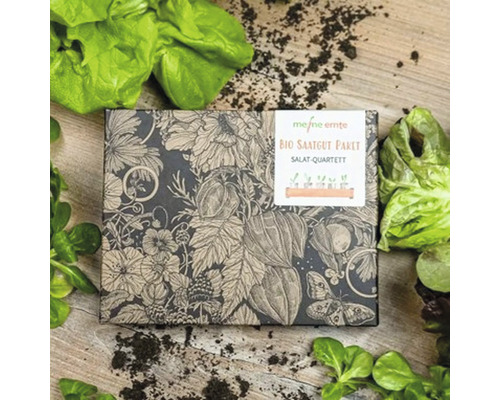 Bio-Saatgut-Paket Salat-Quartett auf einem Tisch mit Salatblättern