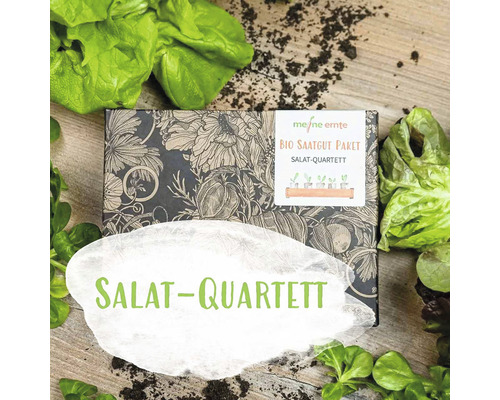 Bio Salat Saatgutpaket meine ernte Salatquartett mit 4 Sorten, Rauke, Feldsalat, Pflücksalat und Kopfsalat, samenfestes Saatgut