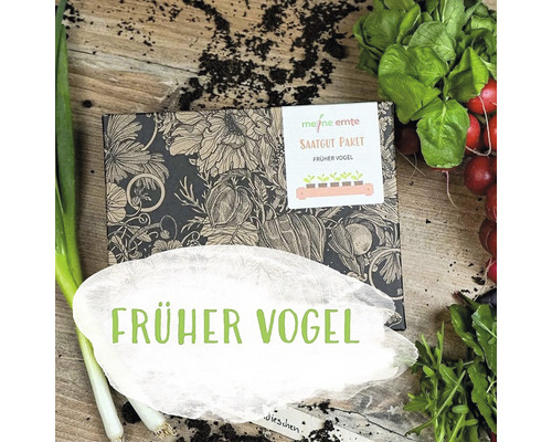 Bio Gemüse Blumen Saatgutpaket meine ernte Früher Vogel mit Radieschen, Herbstrüben, Blattsalat, Lauchzwiebel und Wildblumen, samenfestes Saatgut Saatgut Paket Früher Vogel auf einem Holztisch mit Gemüse