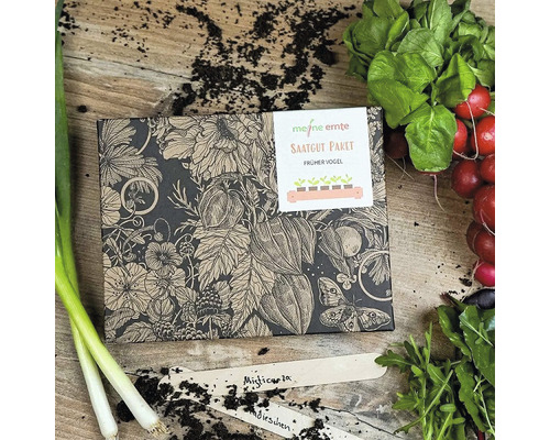 Saatgut-Paket mit Gemüsesamen, Pflanzschildern und Erde auf einem Holztisch.