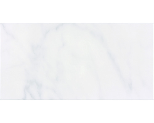 Steingut Wandfliese Carrara 30 x 60 x 0,8 cm grau